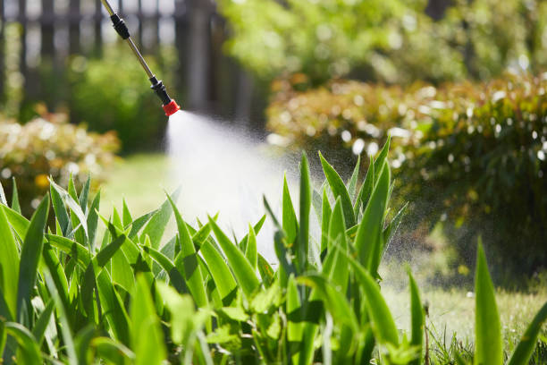 Tamper-Resistant Bait Stations for Rodents in Greenwood